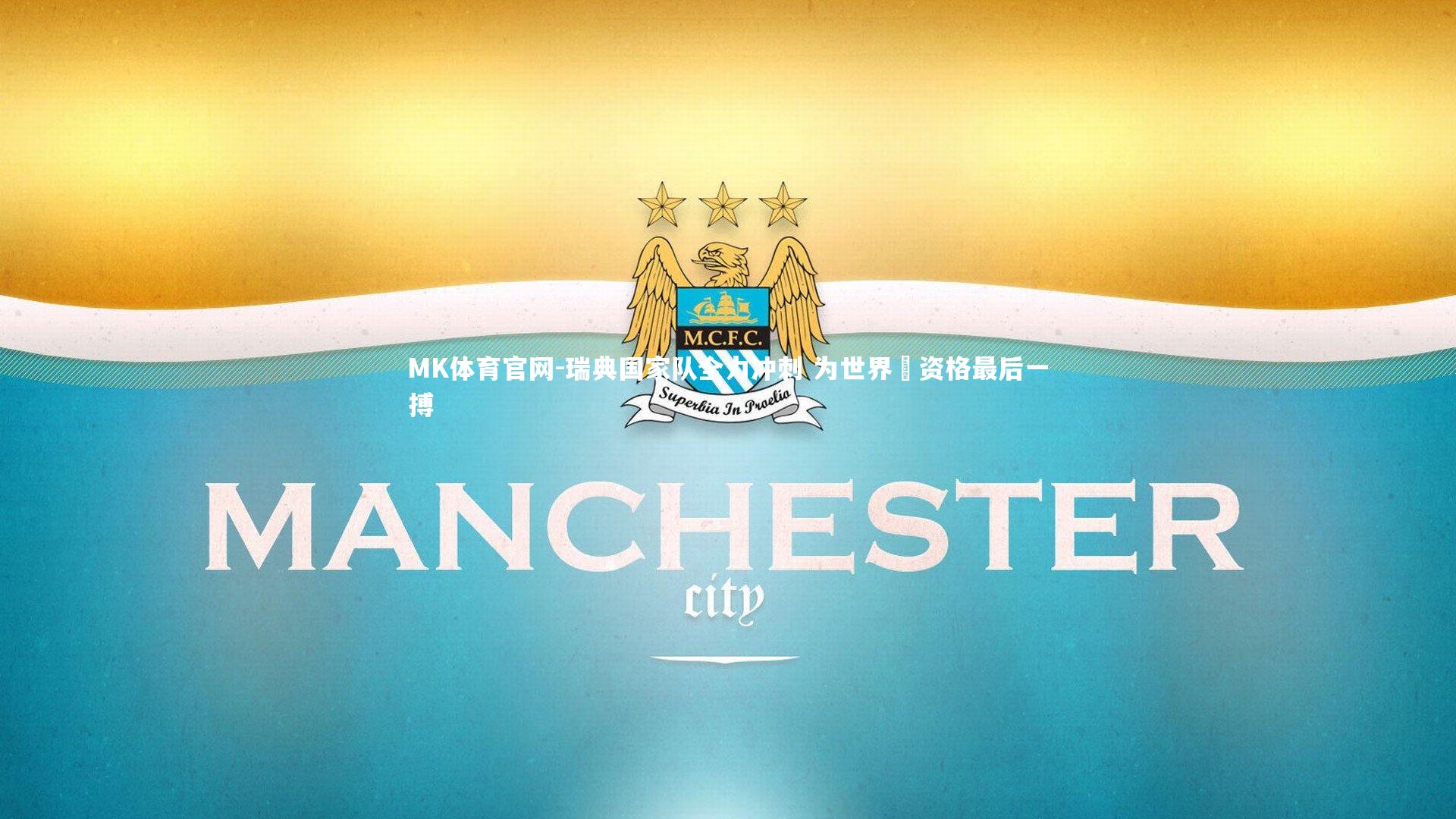 瑞典国家队全力冲刺 为世界盃资格最后一搏