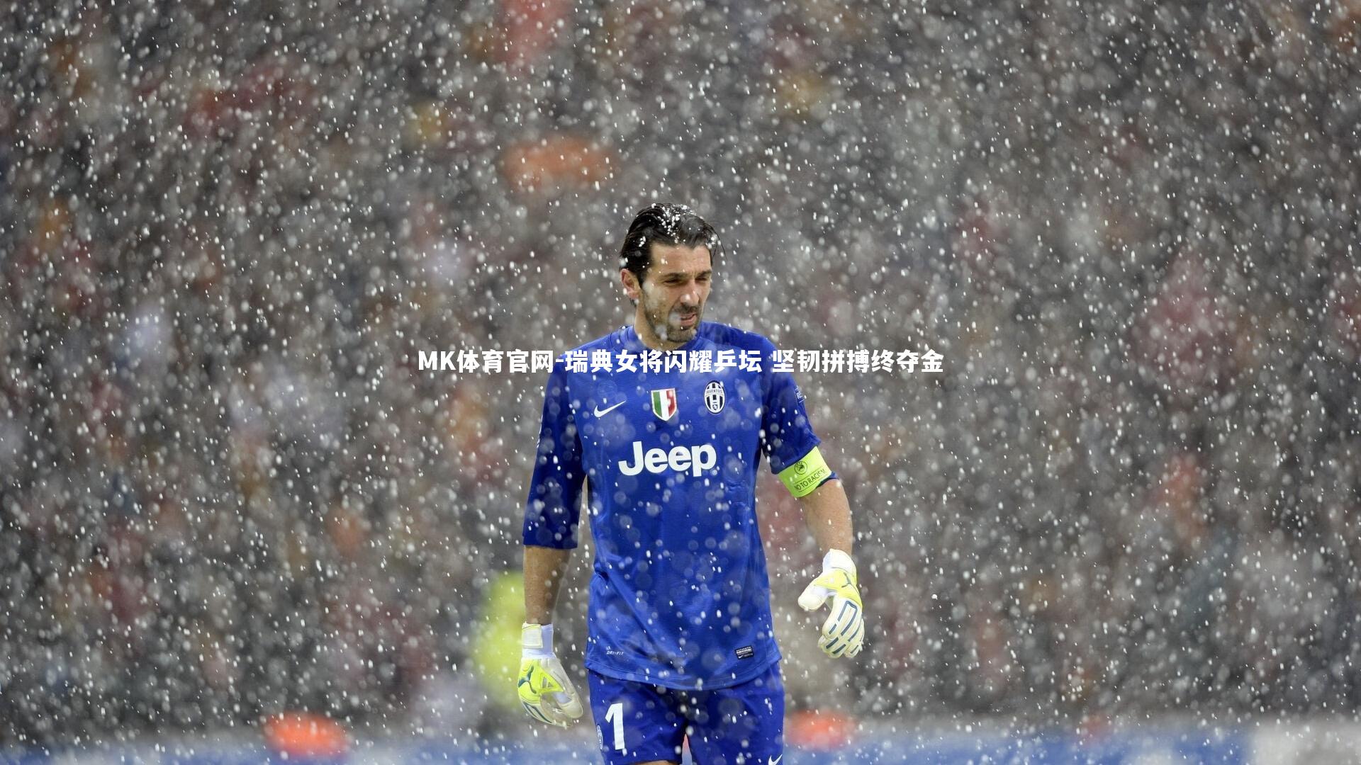 瑞典女将闪耀乒坛 坚韧拼搏终夺金